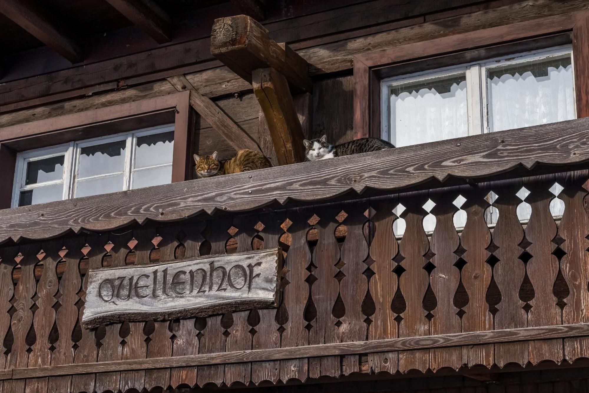 Schwarzwaldliebe Apartment Frohnd ภายนอก รูปภาพ