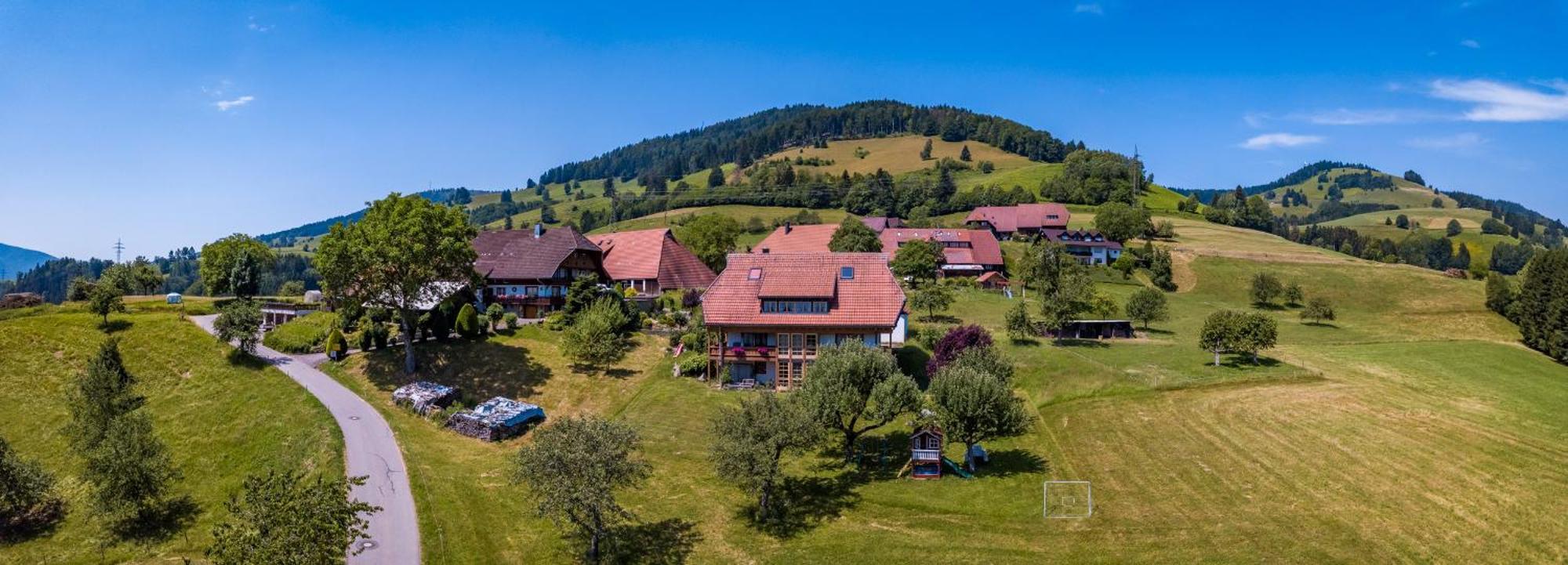 Schwarzwaldliebe Apartment Frohnd ภายนอก รูปภาพ